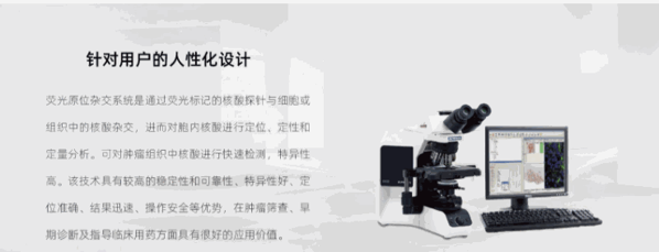 解码DNA基因检测